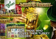 Wild Turkey Slots Bonus Game